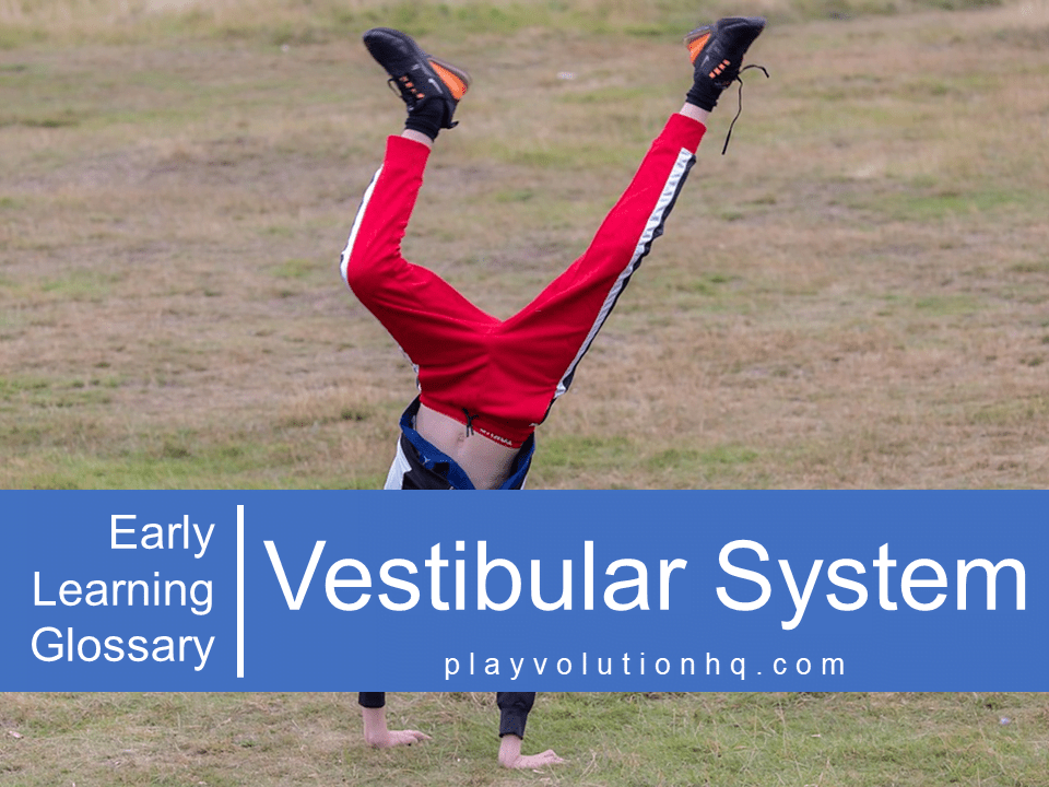 Vestibular System