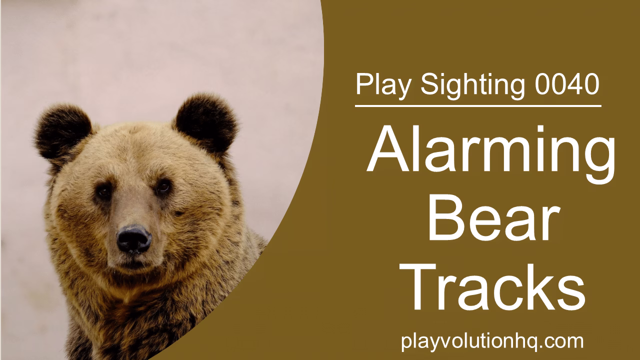 Alarming Bear Tracks | Play Sighting 0040
