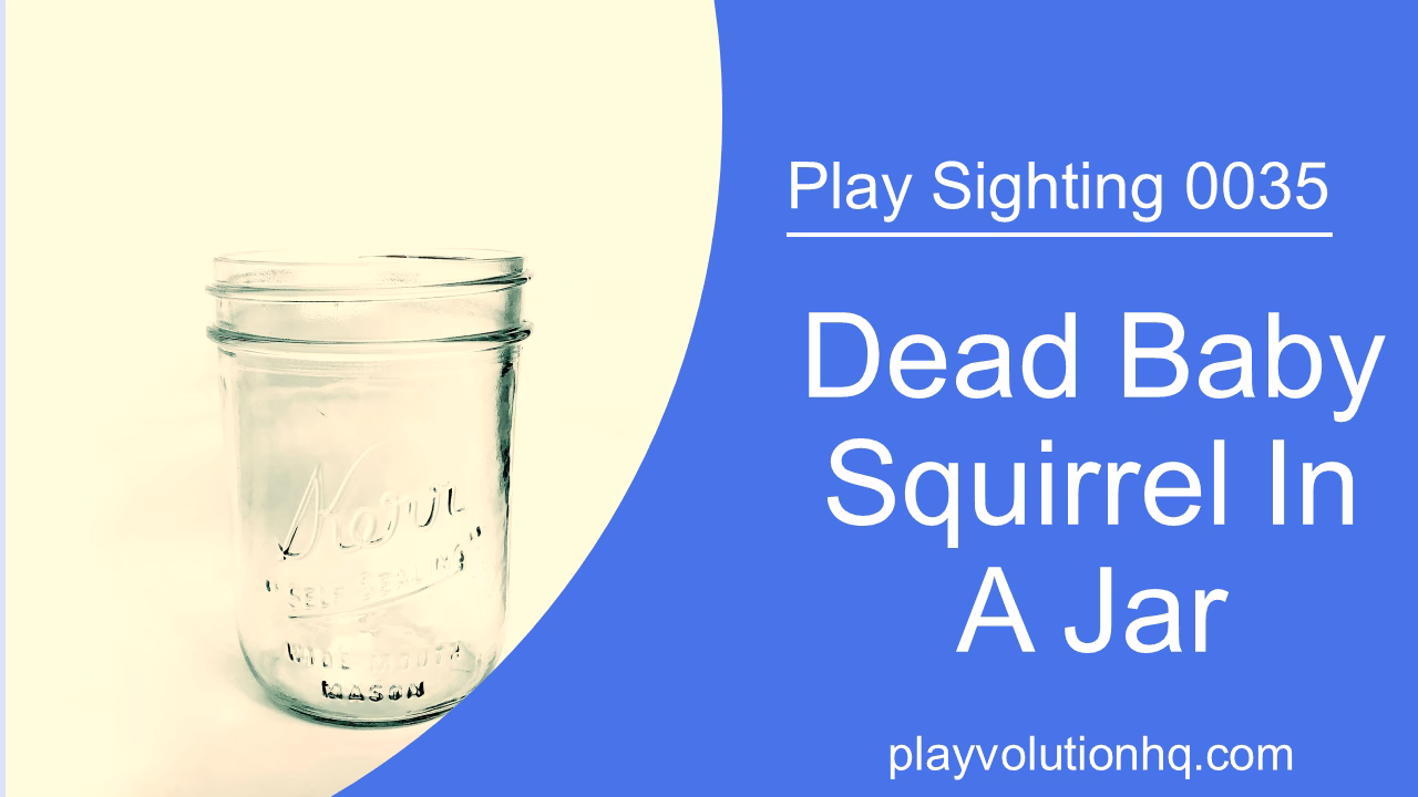 Dead Baby Squirrel In A Jar | Play Sighting 0035