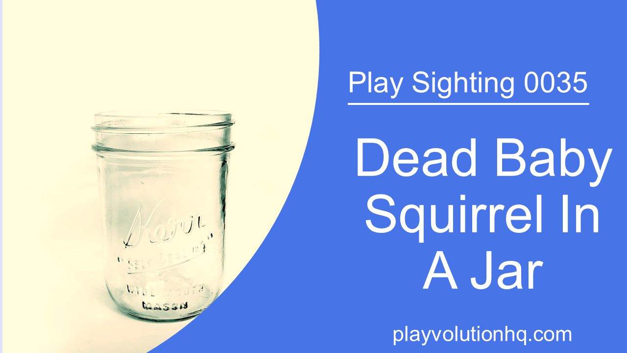 Dead Baby Squirrel In A Jar | Play Sighting 0035