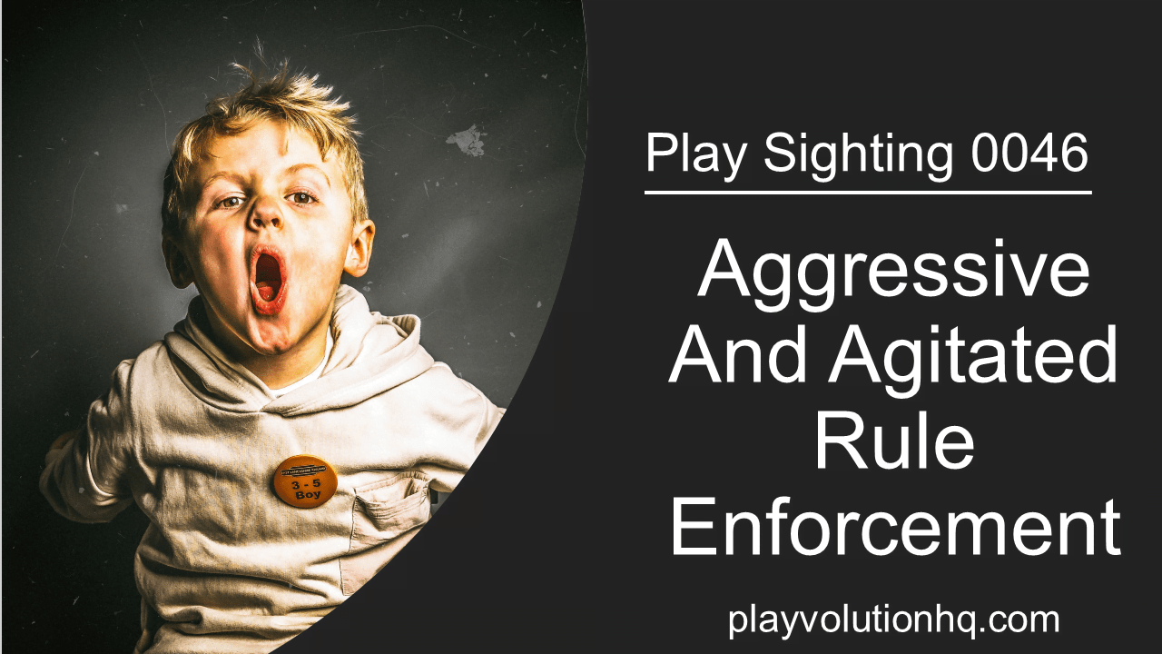 Aggressive And Agitated Rule Enforcement | Play Sighting 0046