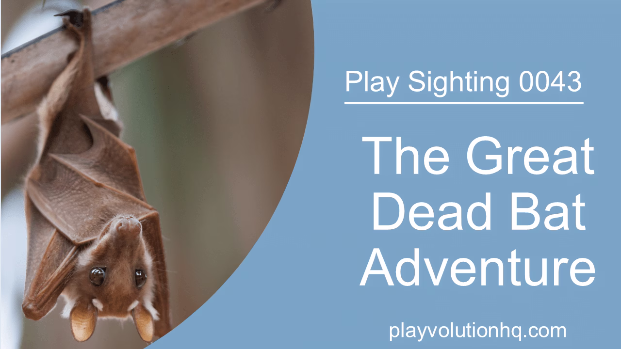 The Great Dead Bat Adventure | Play Sighting 0043