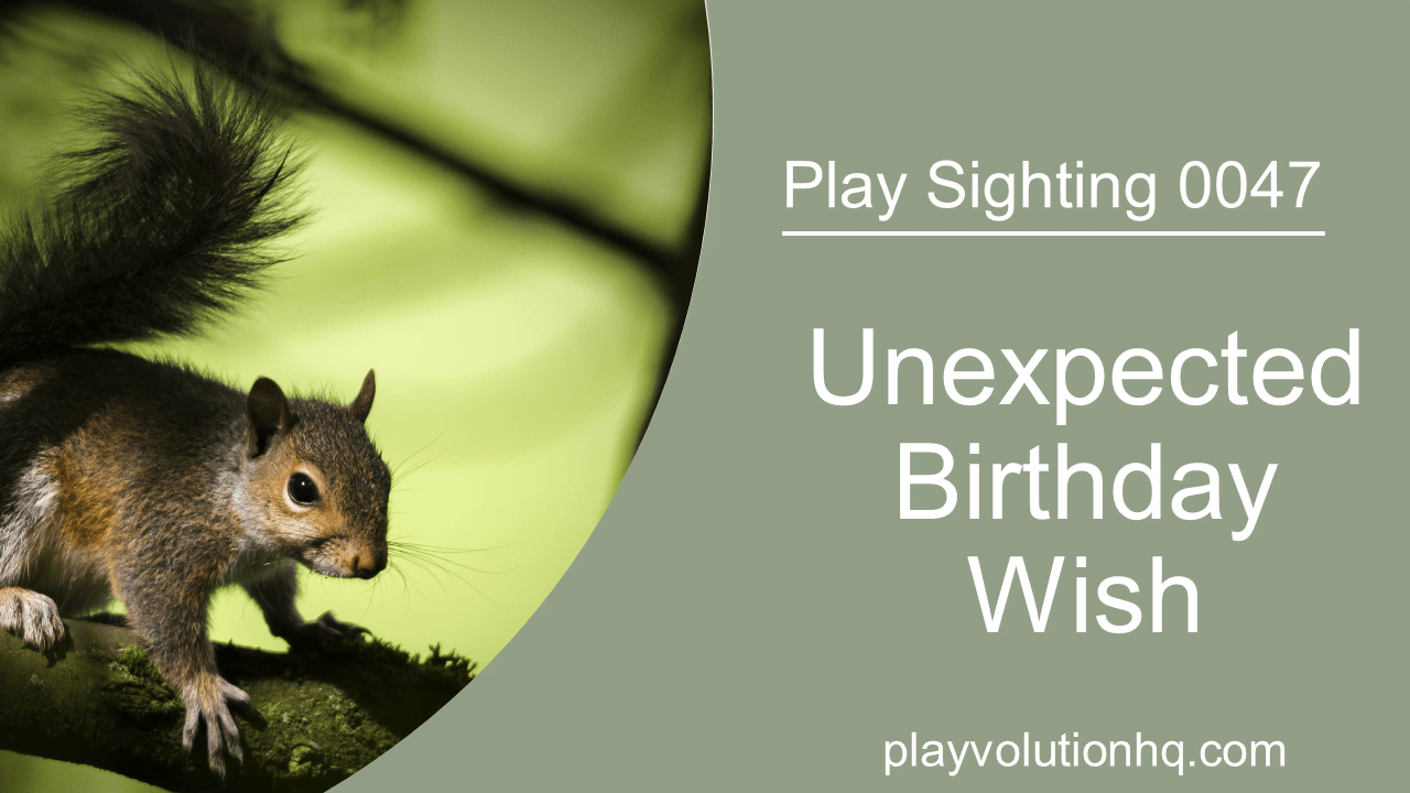 Unexpected Birthday Wish | Play Sighting 0047