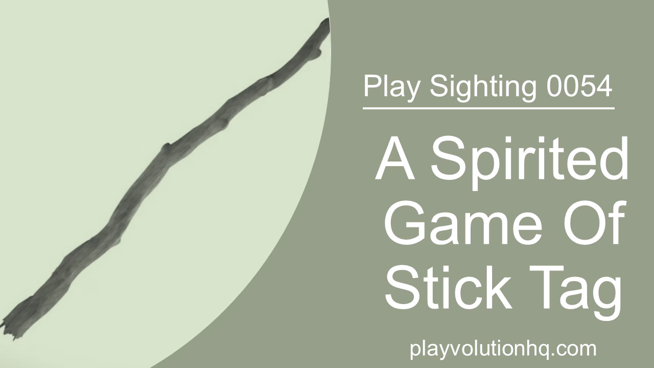 A Spirited Game Of Stick Tag | Play Sighting 0054