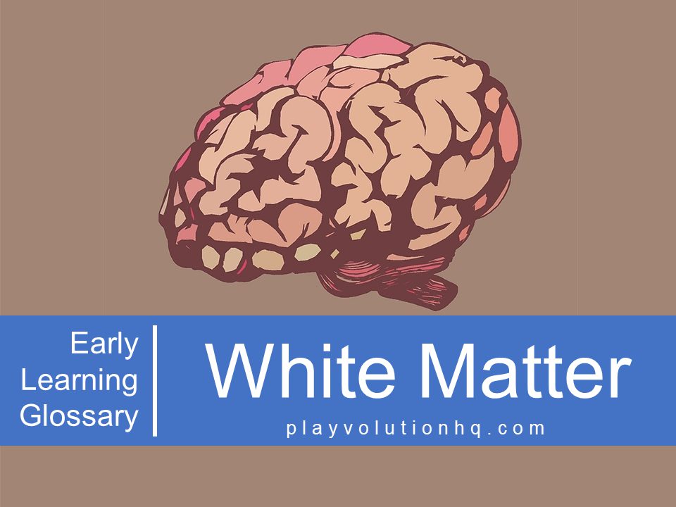 White Matter