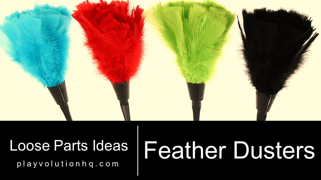 Feather Dusters