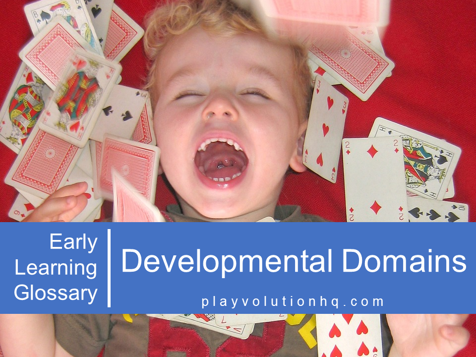 Developmental Domains