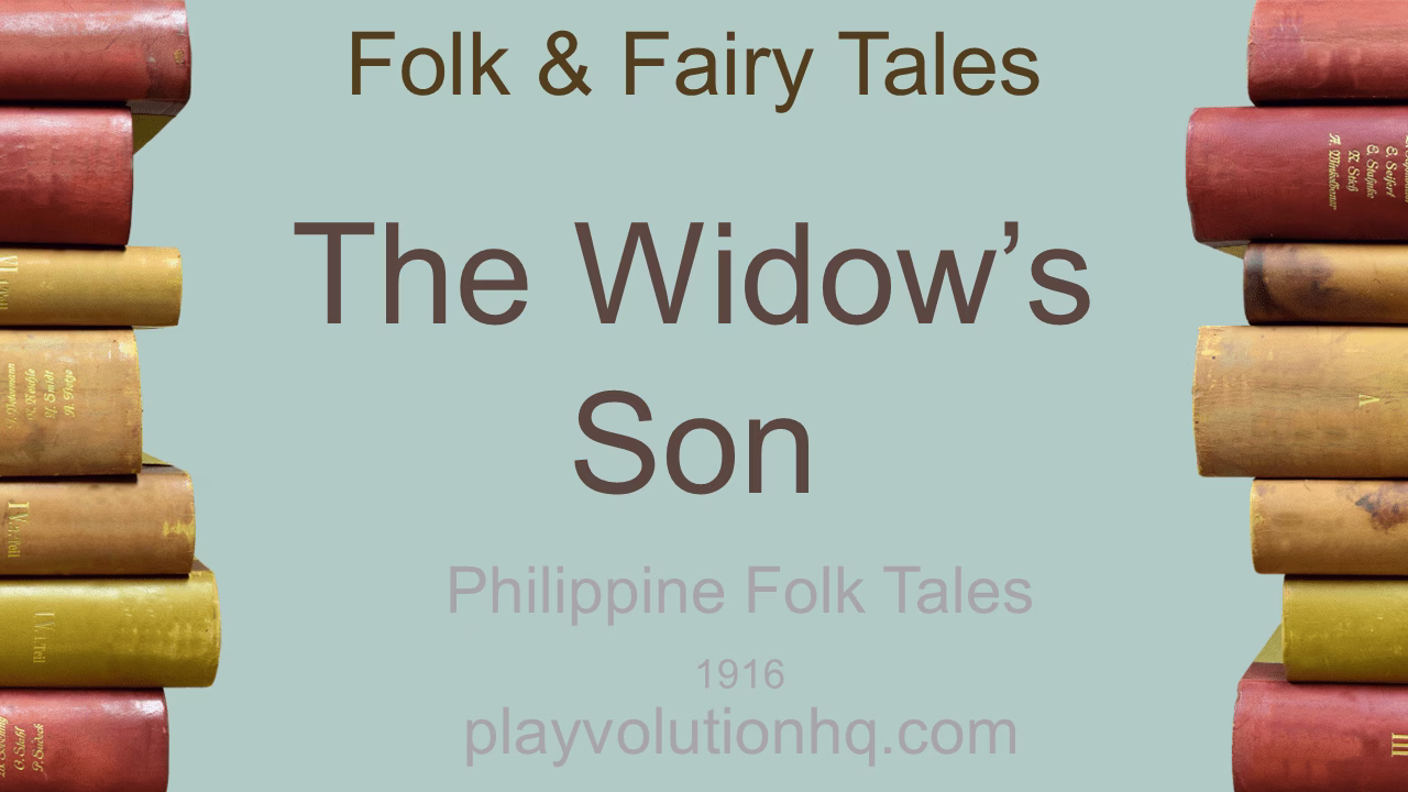 The Widow’s Son