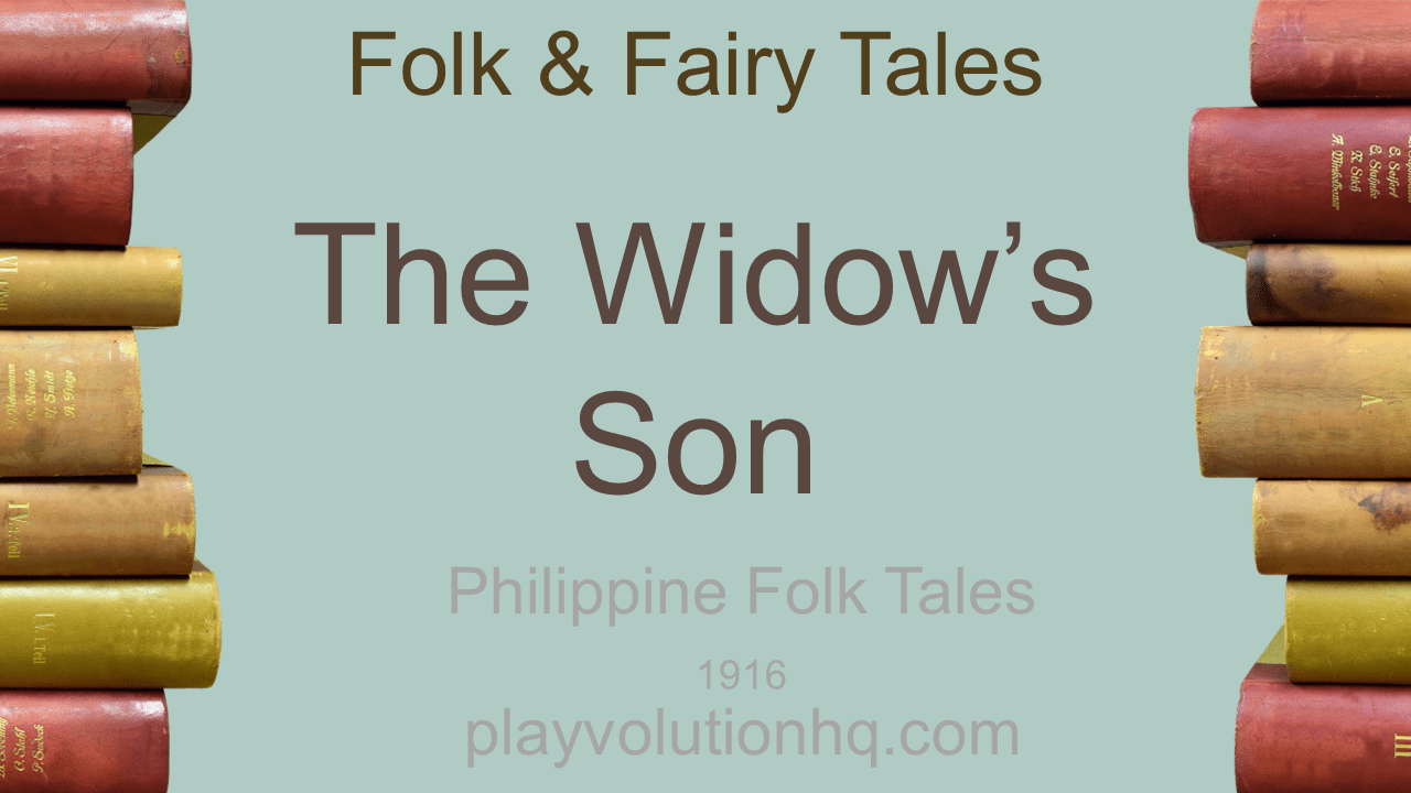The Widow’s Son
