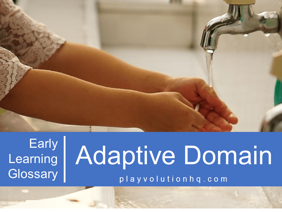 Adaptive Domain