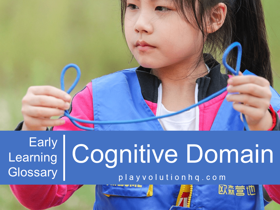 Cognitive Domain