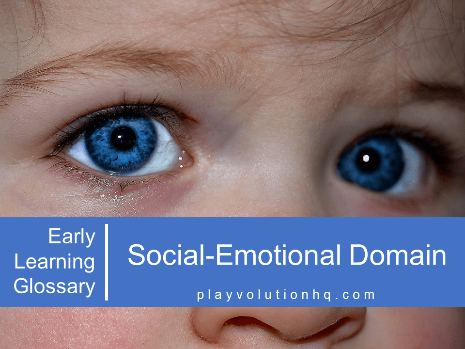 Social-Emotional Domain