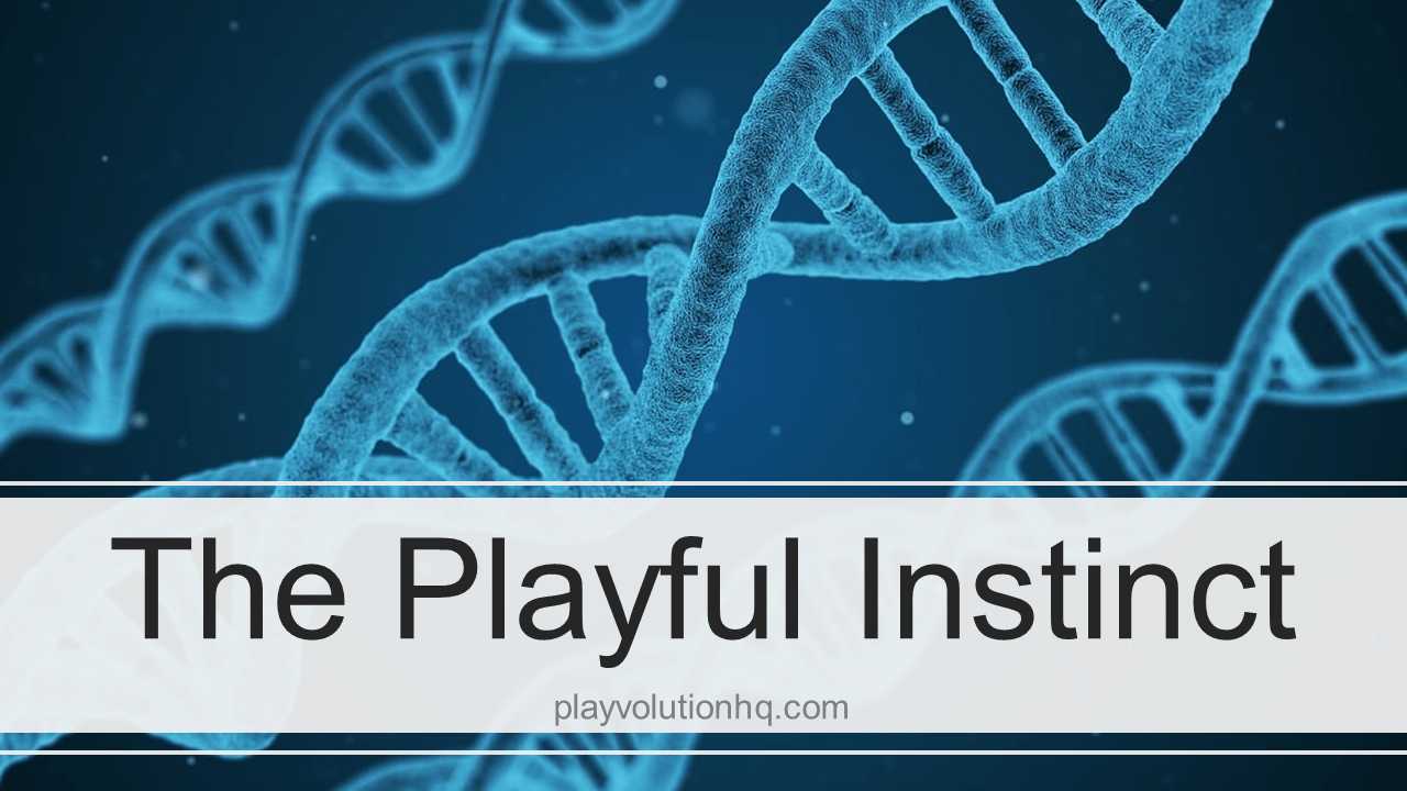 The Playful Instinct