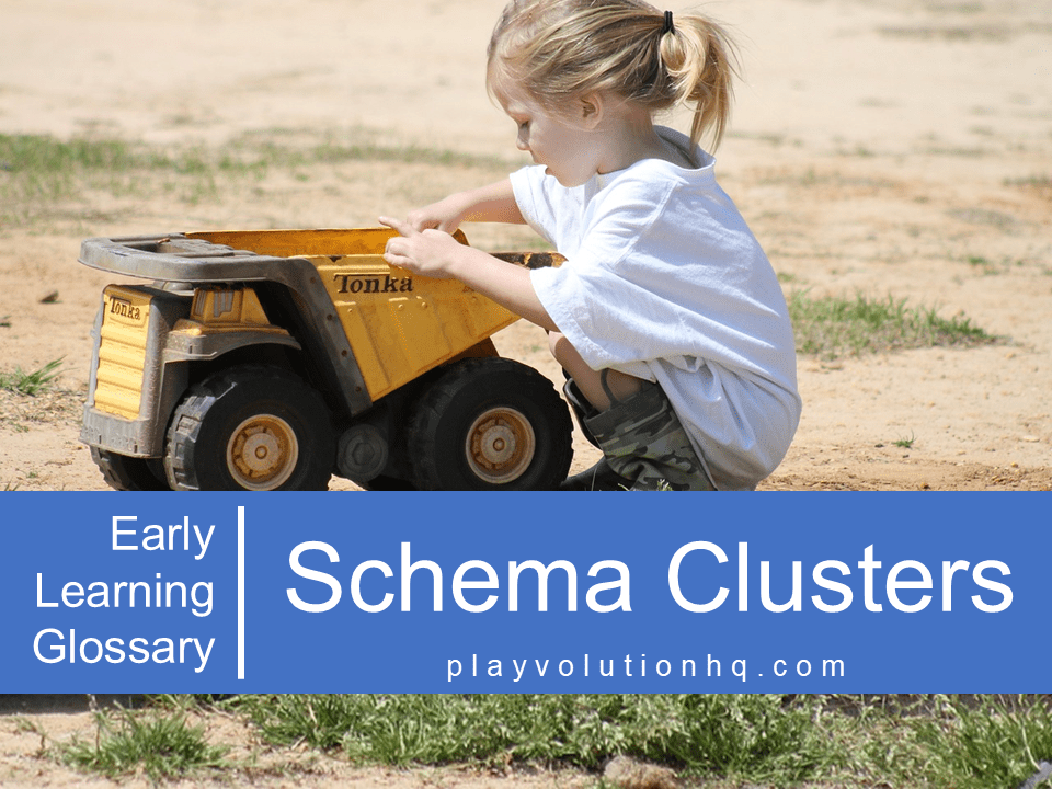 Schema Clusters