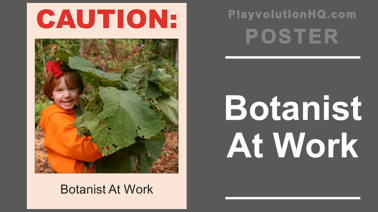 Botanist At Work Poster