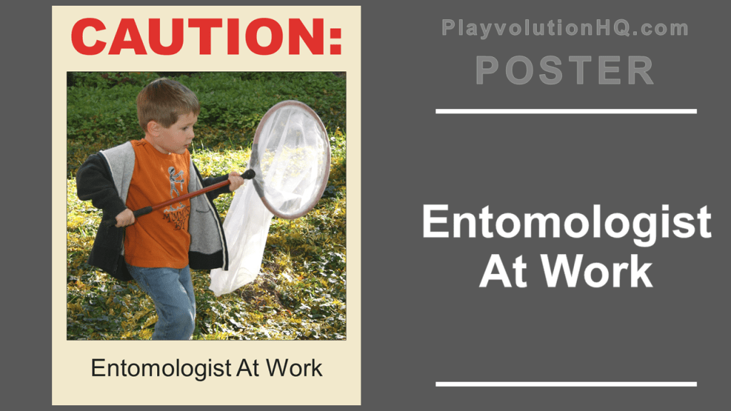 Entomologist At Work