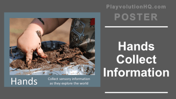 Hands Collect Information