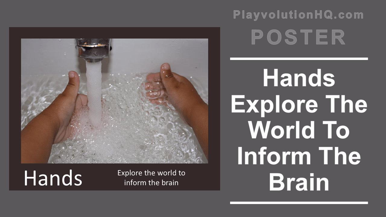 Hands Explore The World To Inform The Brain Poster