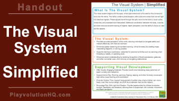 The Visual System Simplified