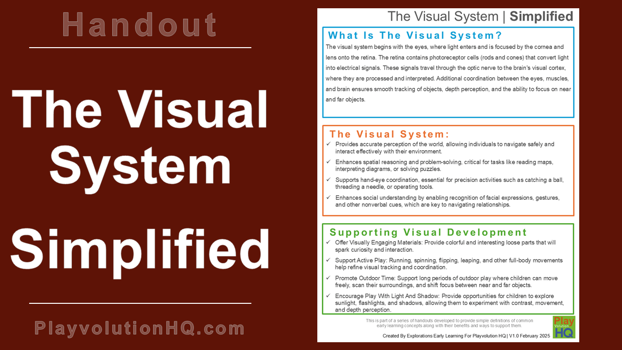 The Visual System Simplified