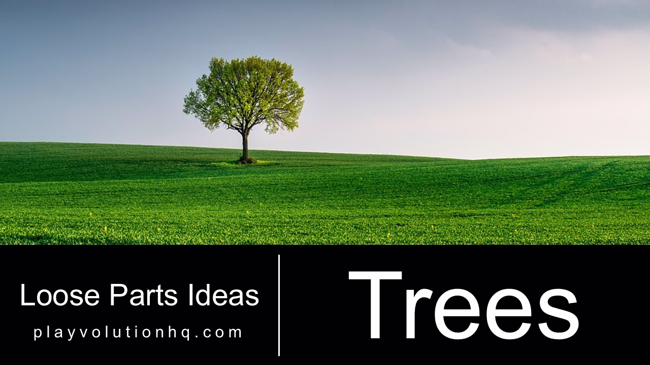 Trees